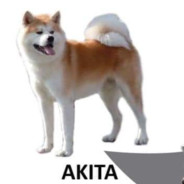 doggy style
