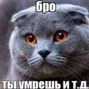 гнилые яйцzxc