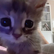 ❥ 𝒋𝒐𝒏𝒆𝒓