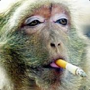 R3axX.yup - steam id 76561197964400197