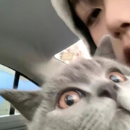 小枪一马 不想玩辣