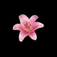 ОлегВентелятор