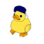 Honk_Solo