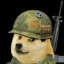 Special Doge