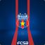 fc.steaua