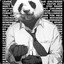 Mr.Panda