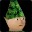L5 avatar