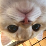 я сейлор мур