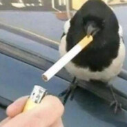 cigarette machine operator