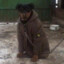 Stone_Island