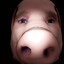 Jhon Pork