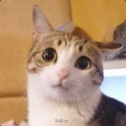 光辉与暗黑的龙绝剑