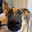 Jack avatar