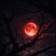 moon avatar