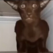 ТАНЯ МИНЕТЧИЦА