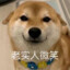 能不能停下等等我