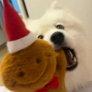 你惹不起的人Ea