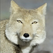 snos