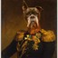 Major General Dog