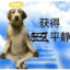 皮衣刀客黄仁勋.