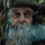 -Radagast