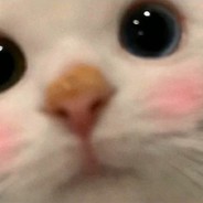 じゃがいもソース