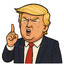THE PRESIDENT