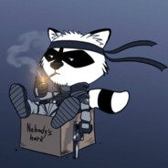 RaCooN(VGUVT)