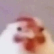 ;