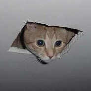 Ceiling Cat