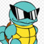 Squirtle020