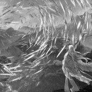 the  king always lucky