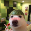 Angé_lo