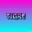 TIGRE