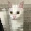 PixelCat