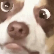 1Unit | LAMBOoOoOoOoOoOoOoOoOoOo