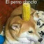 14N