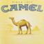 Camel Yellow