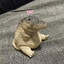 LittlestGungan