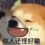 风想