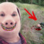 John Pork&#039;s Demon Clone