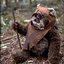 The Ewok