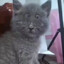 Pufi_Uur