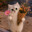 BYWENT