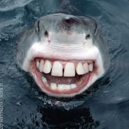 Toy Story fuck my Childhood