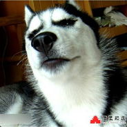 碰我一下你掉钱