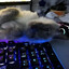 Lan1x