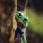 FROG_M4N