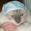 iamLry