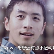 人生巅峰王大锤